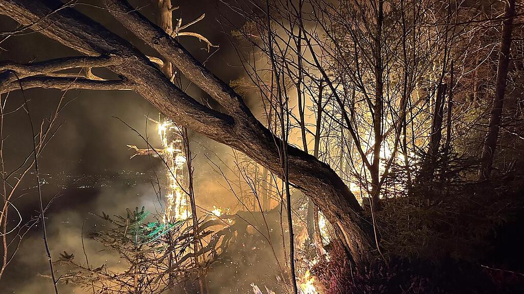 Waldbrand Hohenems