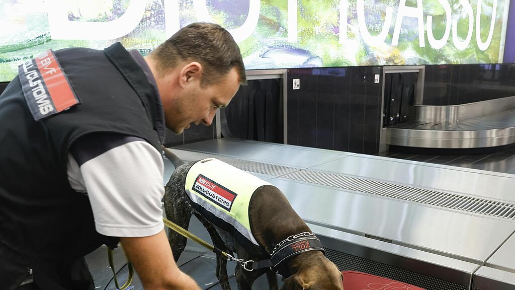 Zollhunde