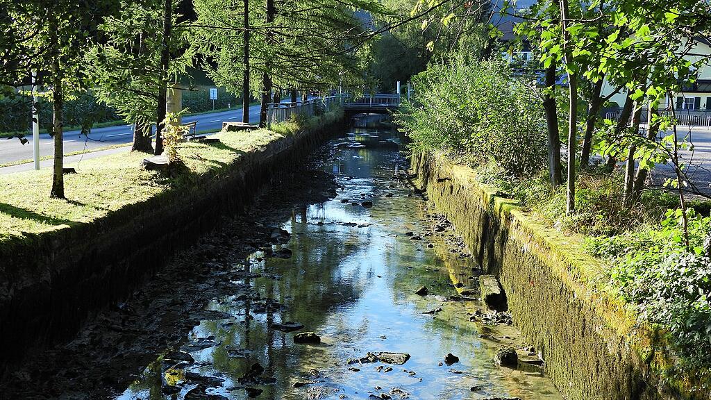 Reinigung Almkanal