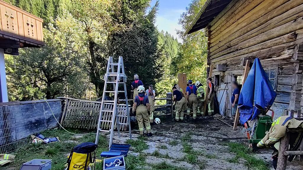 Kuh in Pfarrwerfen aus Jauchegrube gerettet
