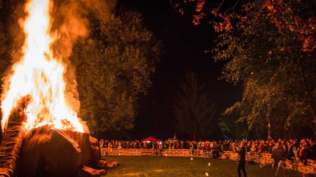 Burning Animal II