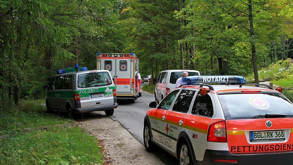 Biker prallt in Baum