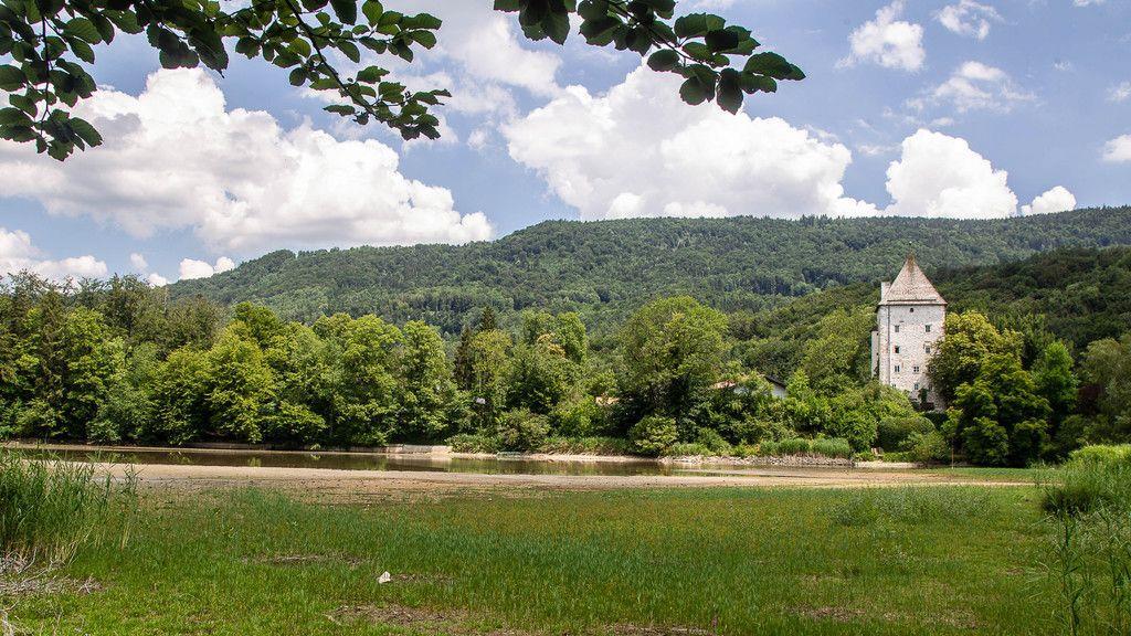 Verlandeter Weiher in St. Jakob am Thurn