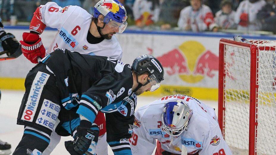 Red Bull Salzburg - Black Wings Linz