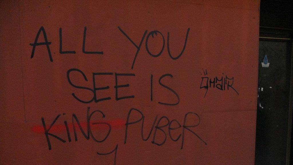 "Puber" in Wien festgenommen
