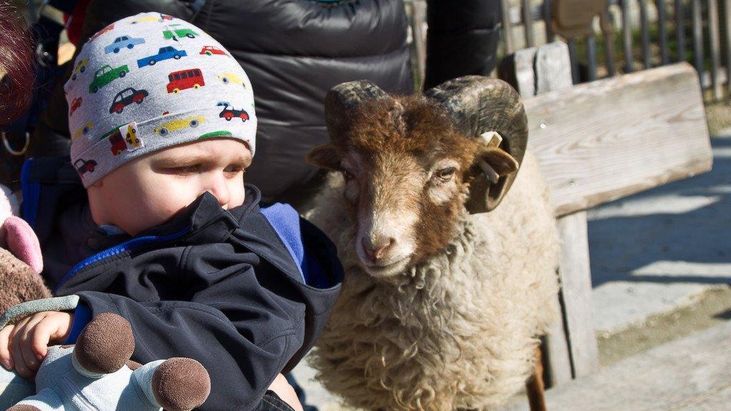 Frühlingserwachen im Salzburger Zoo