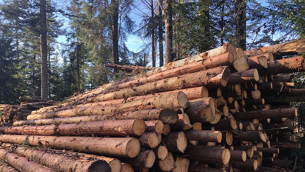 symb_wald; symb_holzarbeiten; symb_holz