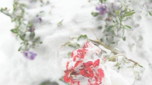 Wintereinbruch in Salzburg - Schnee auf der A10 und am Katschberg