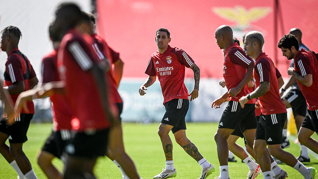 Roger Schmidt, Benfica Lissabon