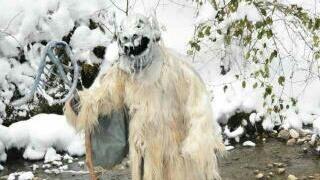 Bestes Krampusfoto 2016