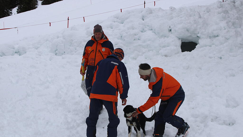 Lawinenhunde Bergrettung Training