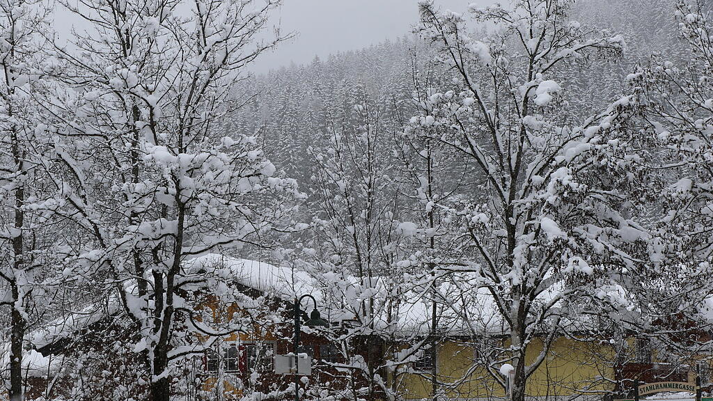 Winterimpressionen aus Salzburg
