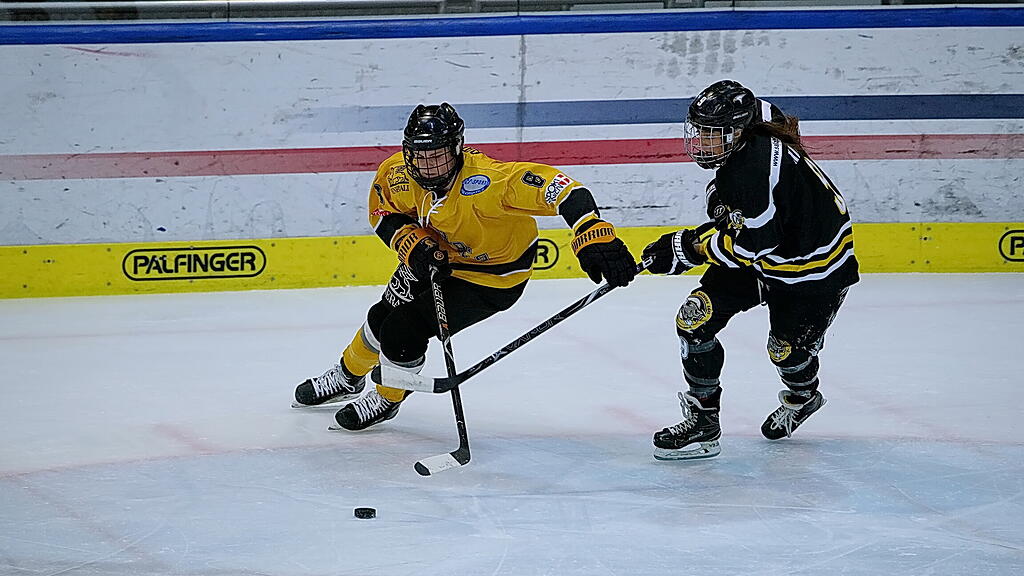 Eishockey: Salzburg Eagles gegen Vienna Sabres