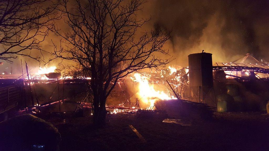 Großbrand bei Bauernhof in Seekirchen III