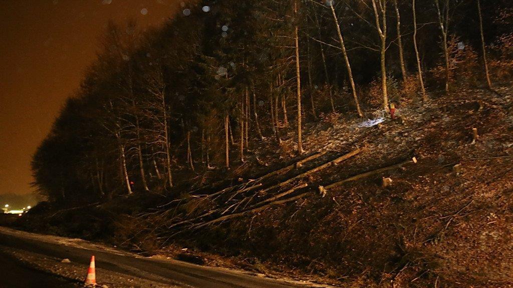 Rodungsarbeiten an der A1