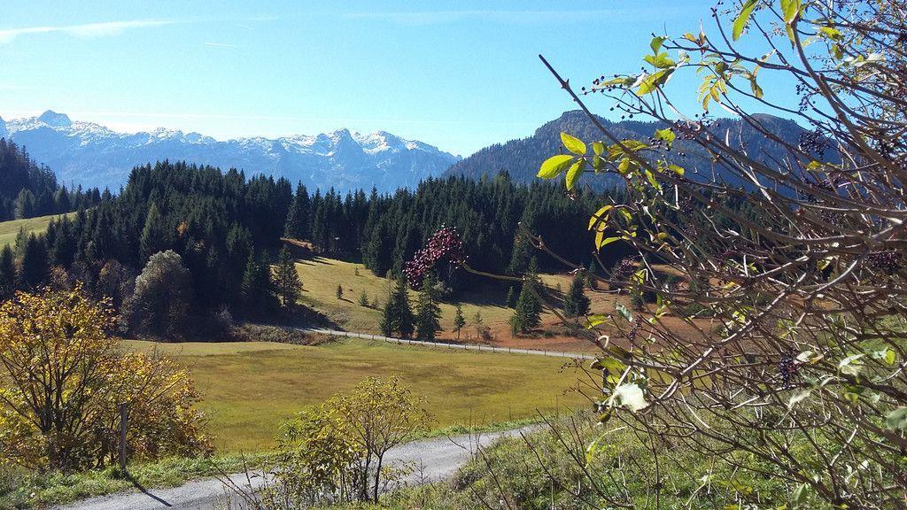 User-Bilder: Herbst in Salzburg