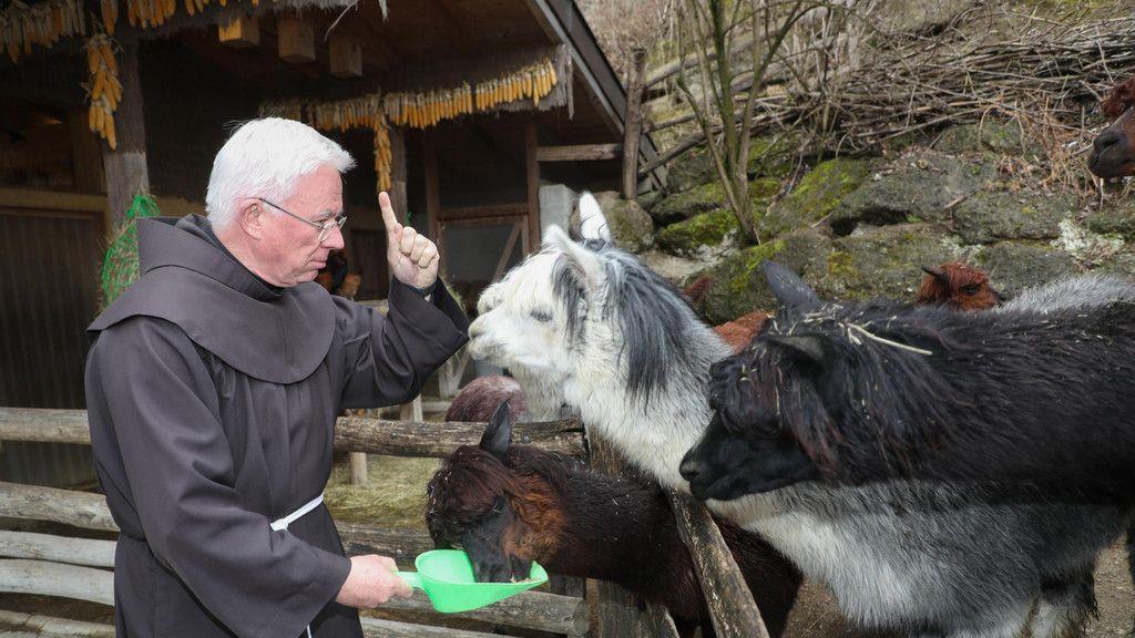 Zoo Salzburg: Erzbischof Lackner besucht Alpakas