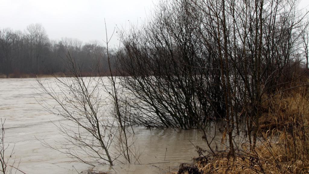 Hochwasser bei Firdolfing