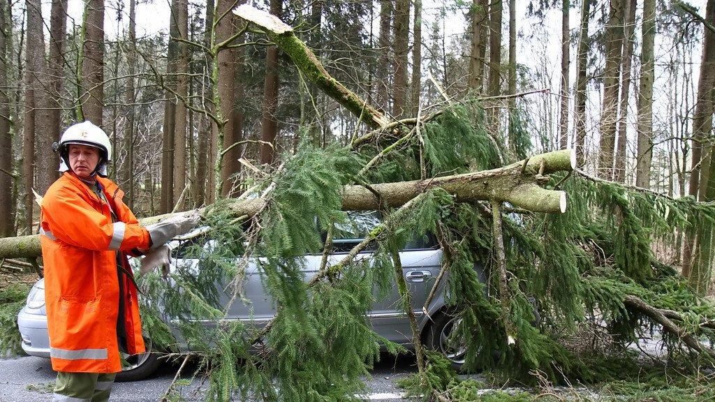 Niklas: Baum an L207 stürzt auf Pkw