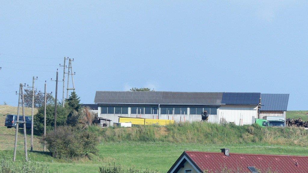 Vier Tote nach Amoklauf in NÖ