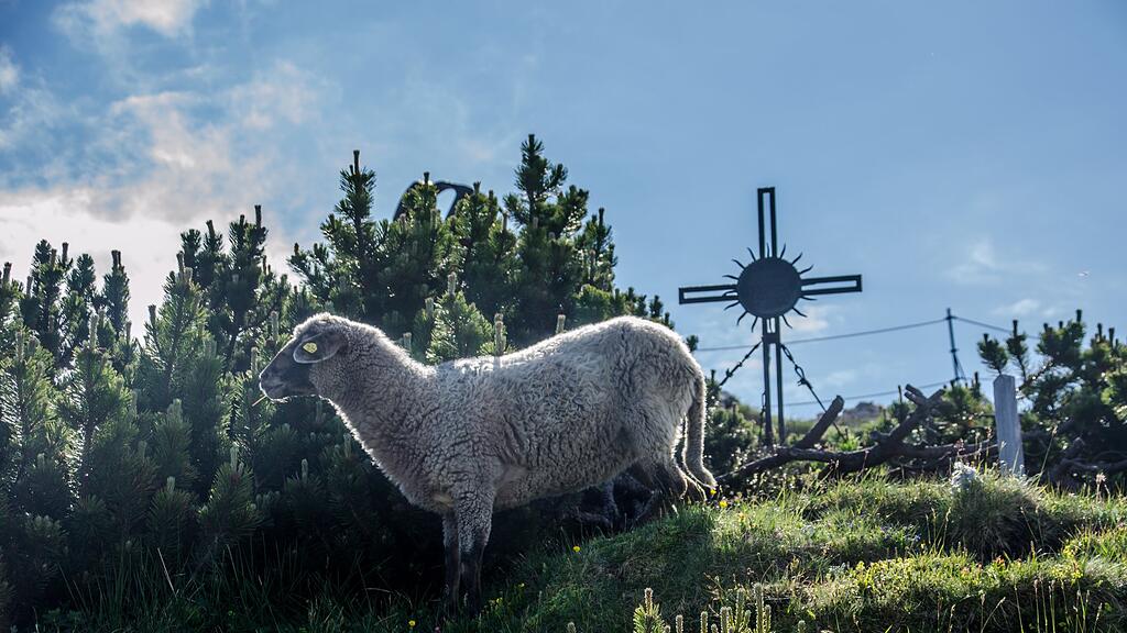 Sonnwendfeier Untersberg