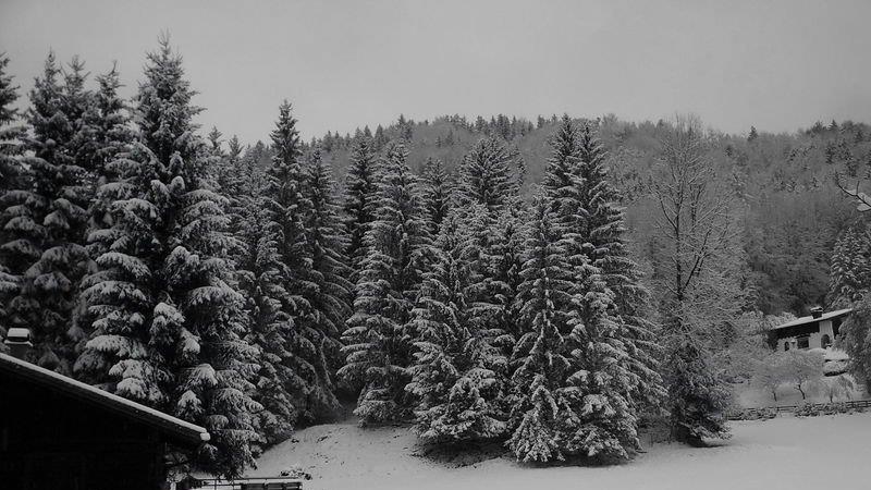 Winter in Ebenau