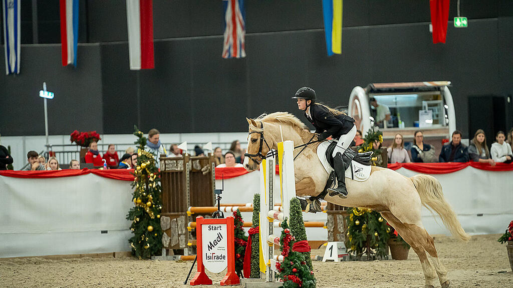 Amadeus Horse Indoors 2023