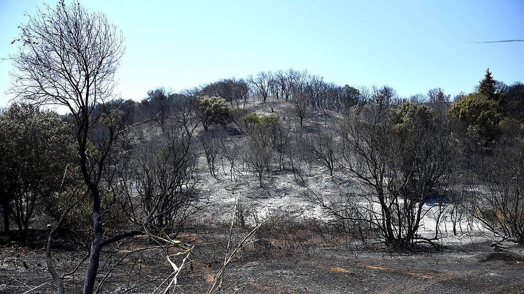 Waldbrand Frankreich