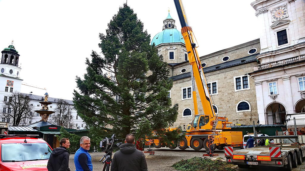 Baum am Christkindlmarkt eingetroffen II