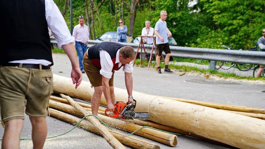 Maibaumaufstellen in Leopoldskron