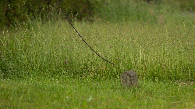 Kabelbrand in Straßwalchen