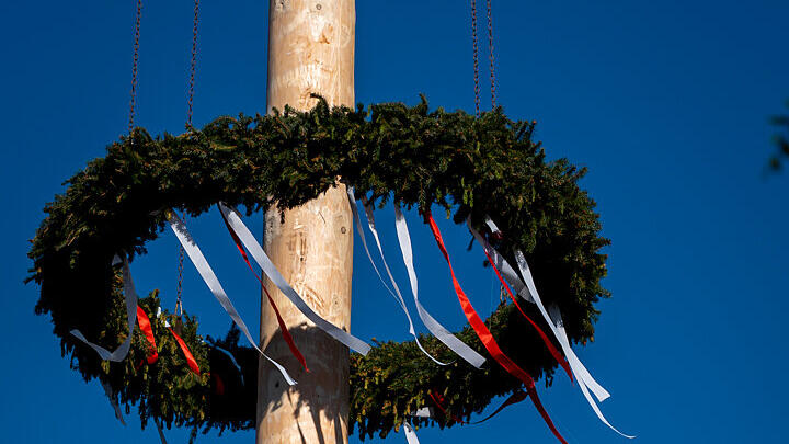 Maibaumaufstellen in Wals (am Kirchenplatz)