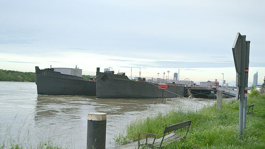 Leserreporter: Hochwasser in Wien-Döbling (Donau bei Nussdorf)