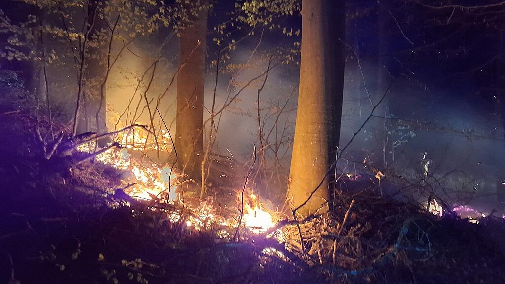 waldbrand henndorf