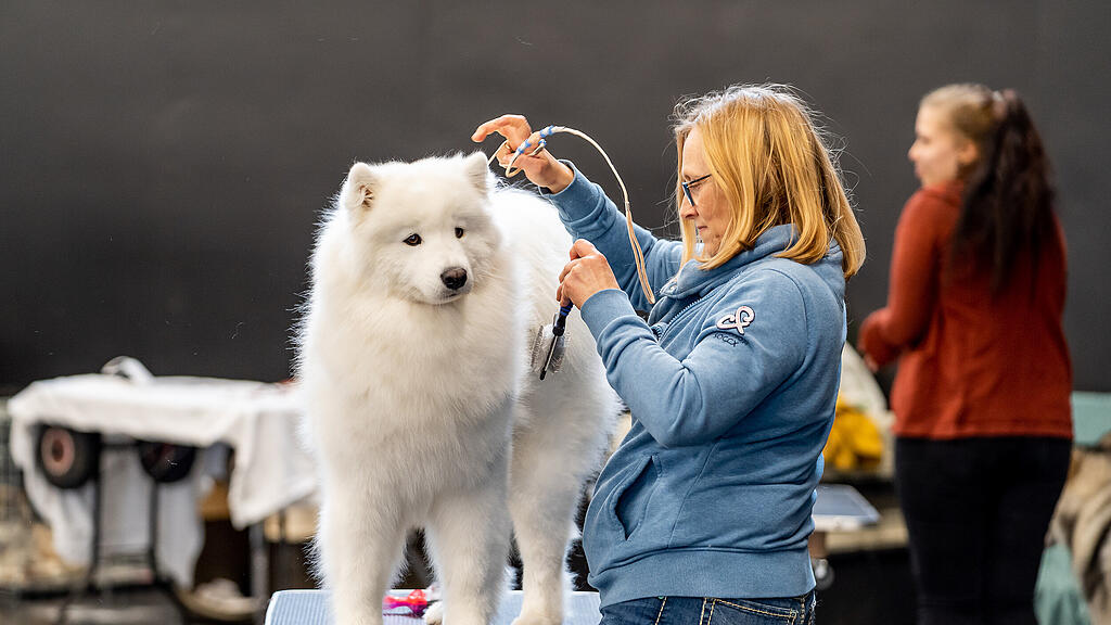 Internationale Hundeausstellung Salzburg 2022