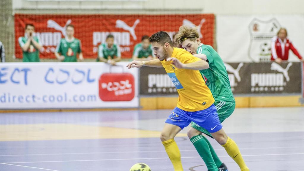 Sbg. Stier Zwischenrunde D