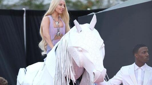 Lady Gaga 2013