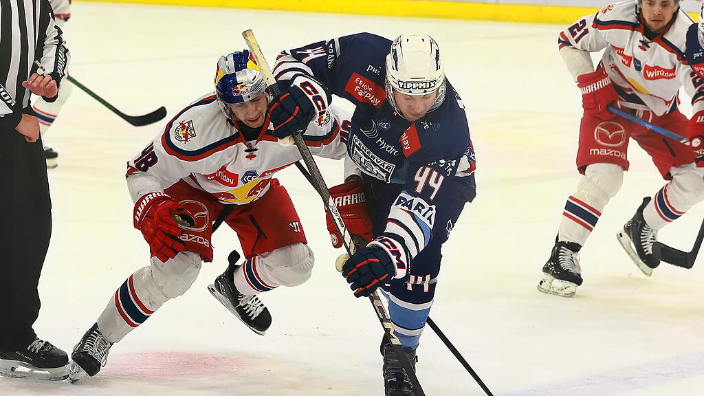 Red Bull Salzburg gegen Hydro Fehervar AV19