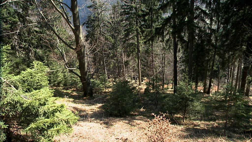Drachenflieger schwer verletzt