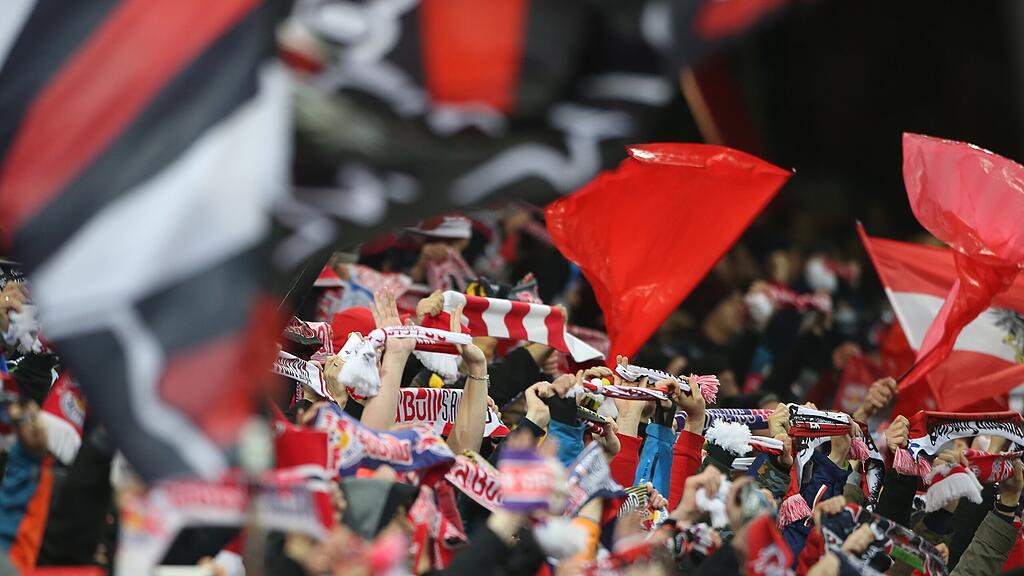 FC Red Bull Salzburg, Fans