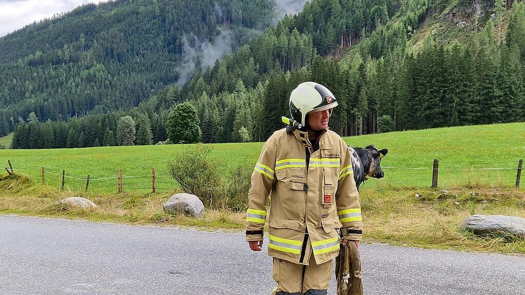 kalb obersulzbach