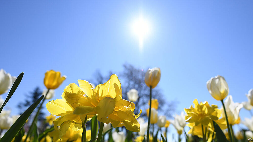 Ab 25 Grad gilt er als Sommertag