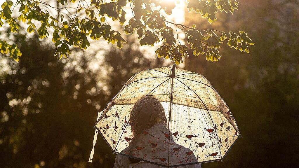 symb_wetter symb_schirm symb_regenschirm