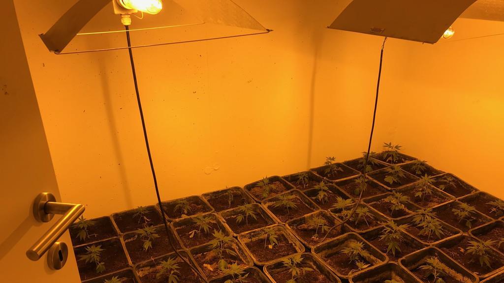 Cannabis-Anlage in Reihenhaus sichergestellt