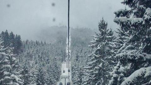 Suche nach Snowboarder I