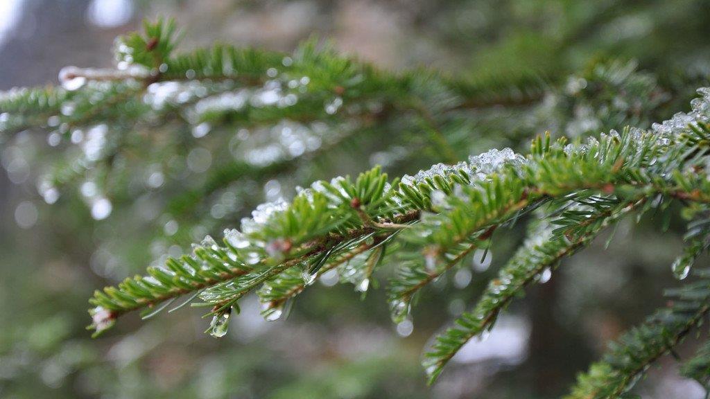 Tauwetter in OÖ I