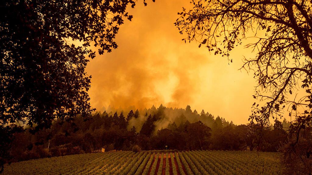 Waldbrand Kalifornien
