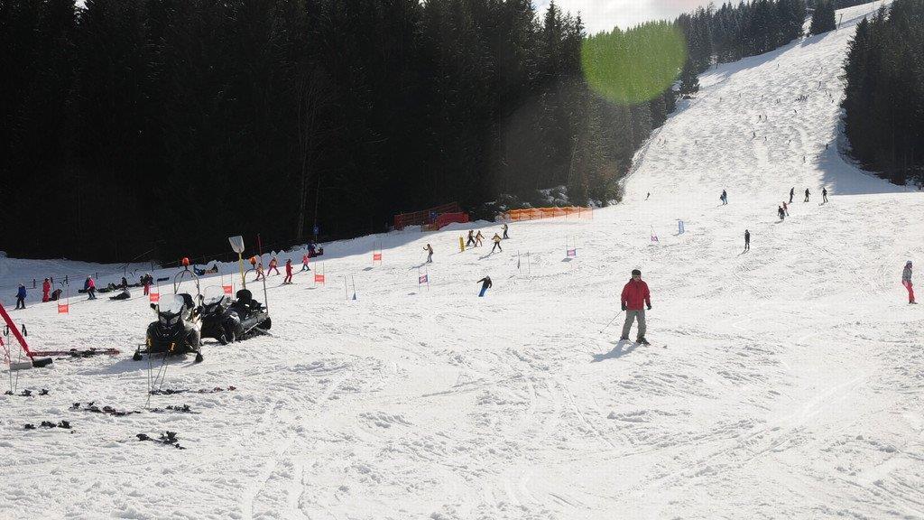 Walchhofer in Flachau