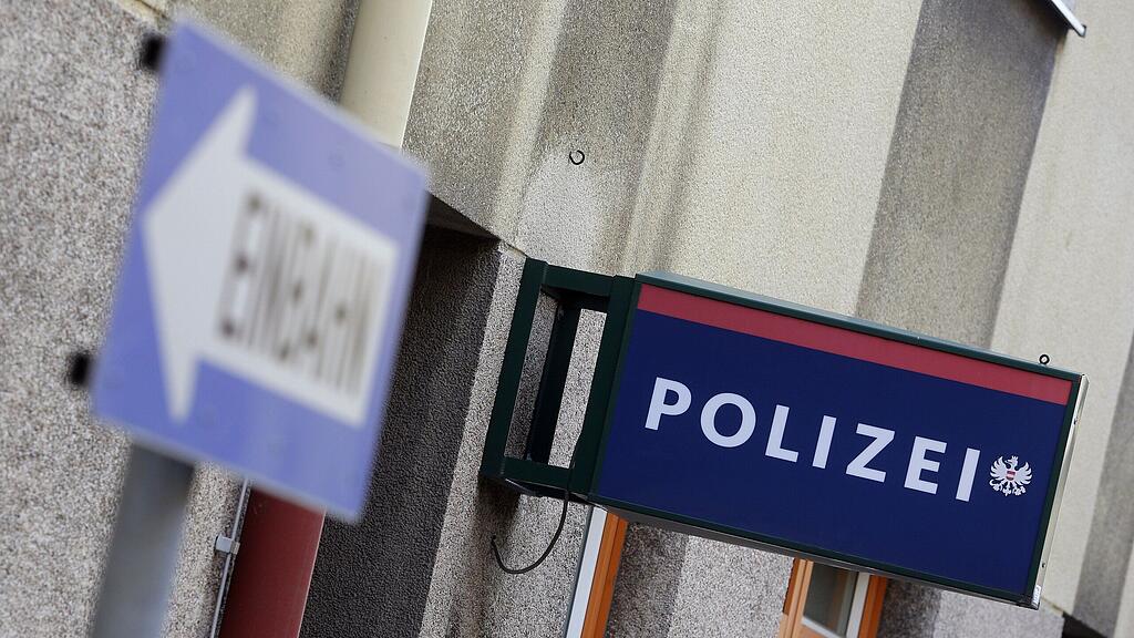 Die Salzburger Polizei forschte die jungen Burschen aus.