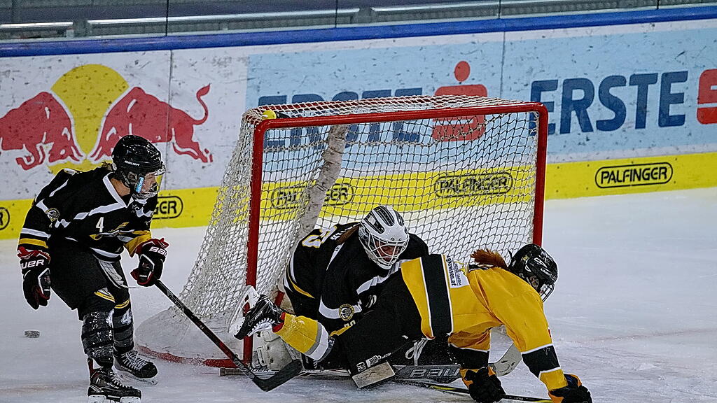 Eishockey: Salzburg Eagles gegen Vienna Sabres